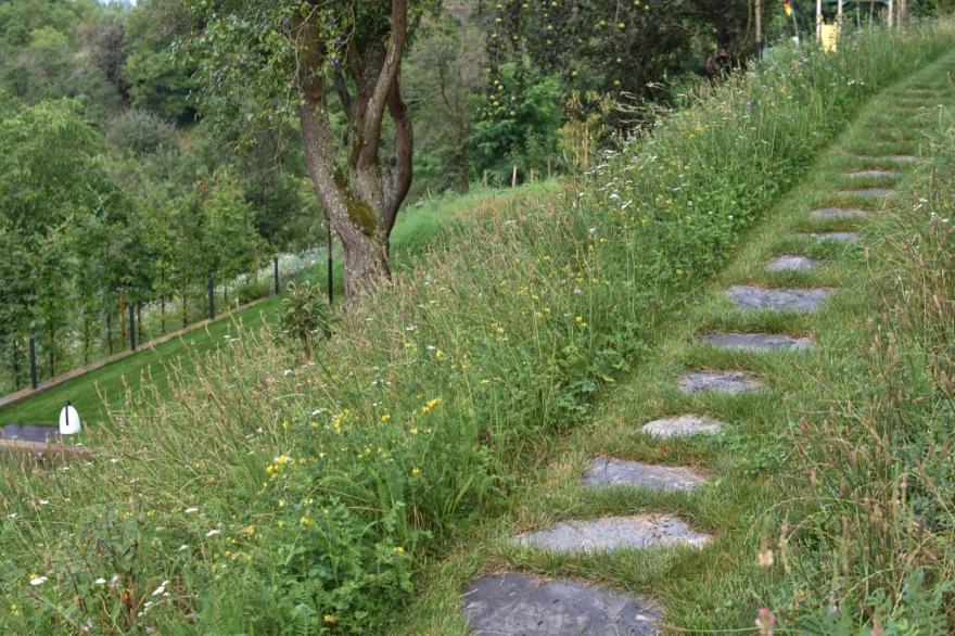 绿色和谐的坡地住宅花园设计丨捷克丨Tomáš Beránek-23