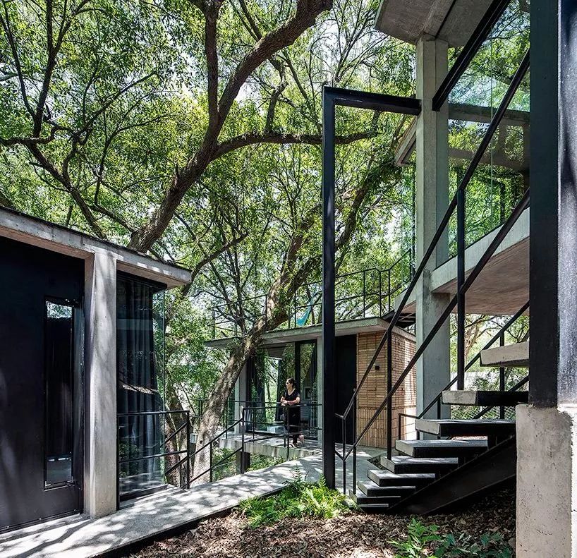 墨西哥森林的红砖屋住宅-29