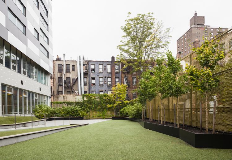 东哈莱姆学校创新庭院设计丨美国纽约丨纳尔逊·伯德·沃尔兹-6