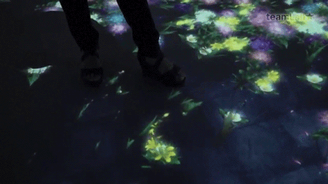 teamLab 2017 深圳北京大展：舞蹈吧，艺术！寓教于乐的未来游乐园！-55