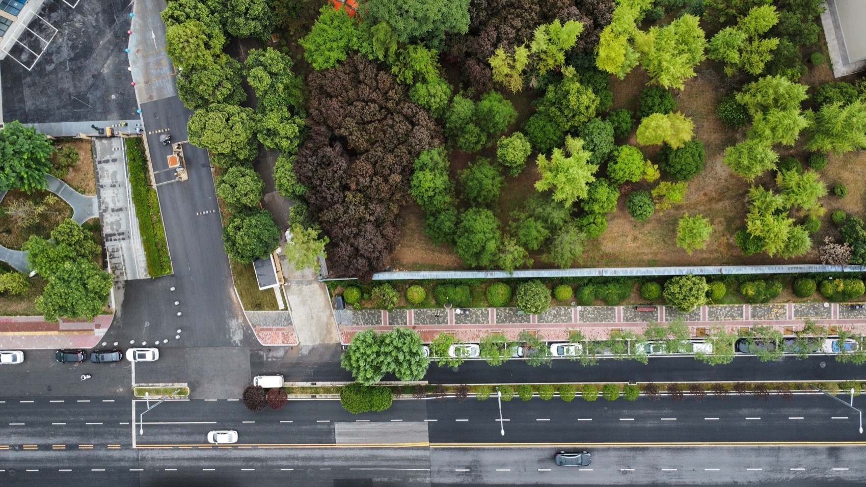 大鹅咖啡丨中国西安丨H Design Studio-9