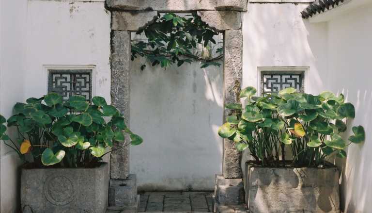 四合院住宅；庭院式住宅 丨泰国曼谷-0