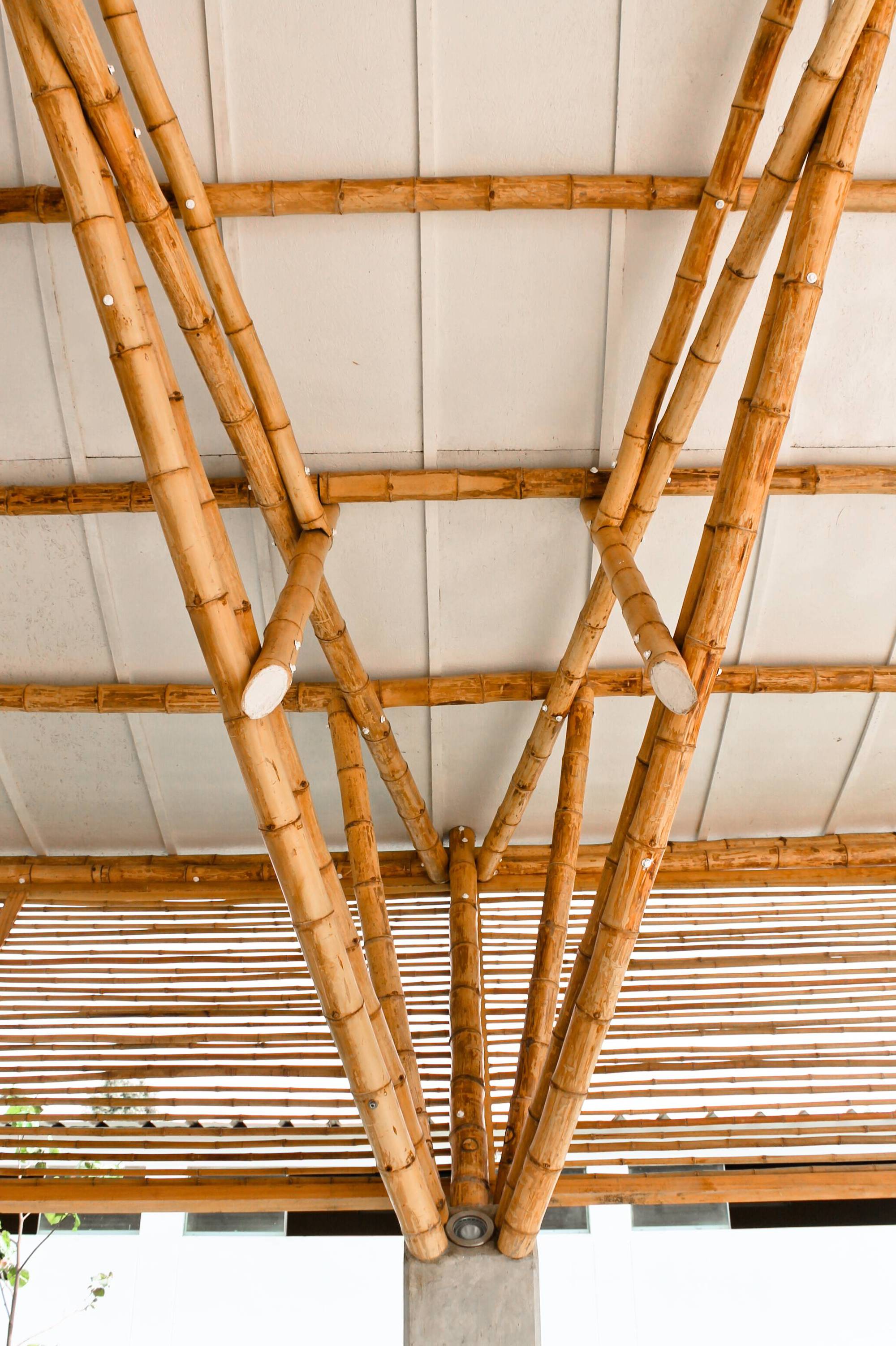 Bamboo Auditorium / Instituto de Vivienda, Urbanismo y Construcción de la USMP-16