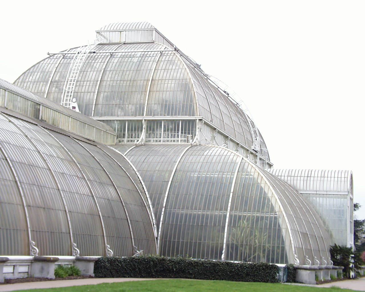 伦敦基尤皇家植物园(Royal Botanic Gardens, Kew )-24