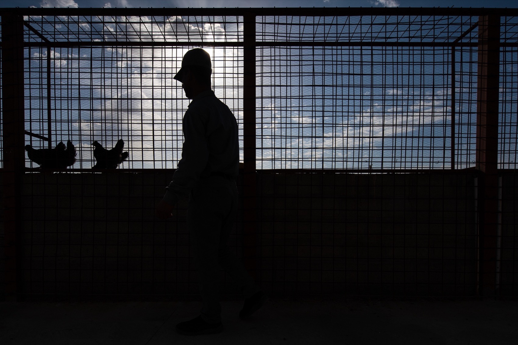 《工人与工厂》《贾德加尔小学》《亚伯拉罕宗教家园》丨伊朗丨Deed Studio-13