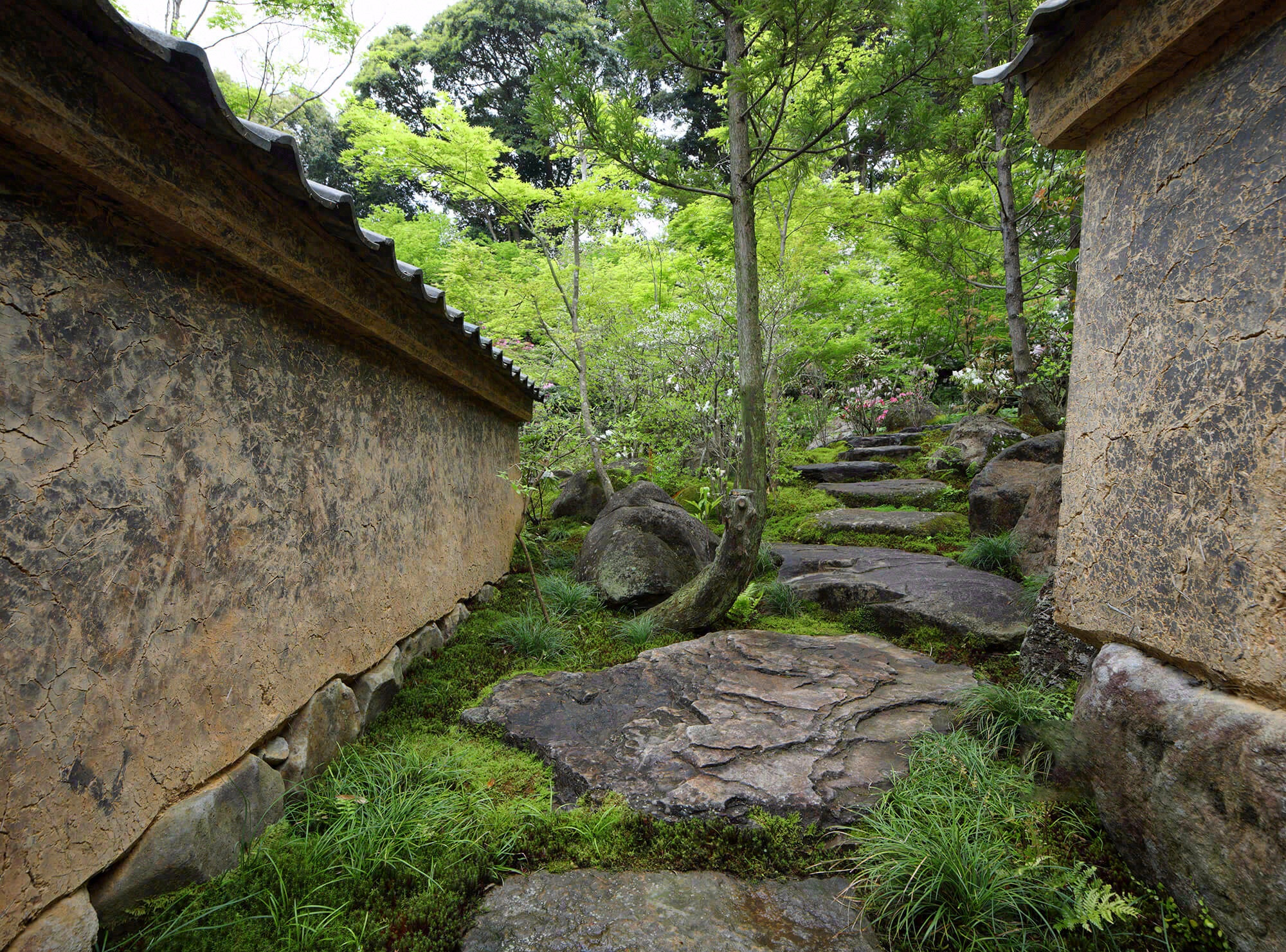 德荣寺 紫音庵丨日本福冈丨Masumi Yanase Architect Office-100