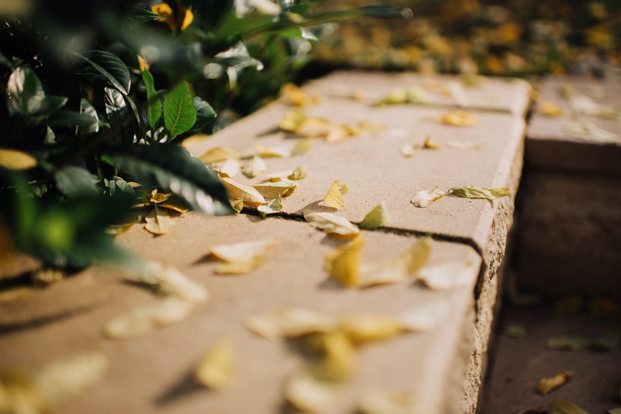 赫斯基森项目  GNK景观设计公司（这里GNK为特定名称，若无更多背景难以更精准翻译，推测一般为专业领域的公司名称，Landscapes可理解为景观设计公司等相关含义） -22