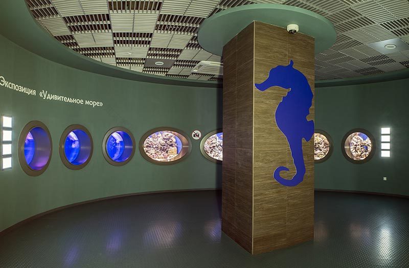 “Moskvarium”海洋馆丨俄罗斯莫斯科丨Aqua Logo Engineering-100