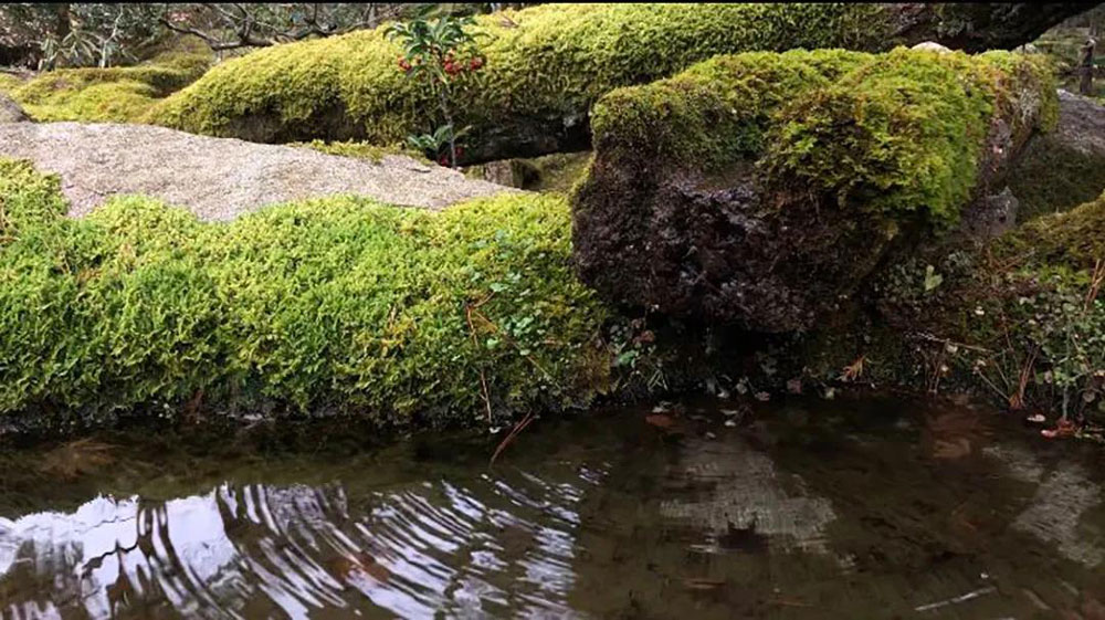 熹茗朱子文化空间丨中国厦门丨BloomDesign绽放设计-37