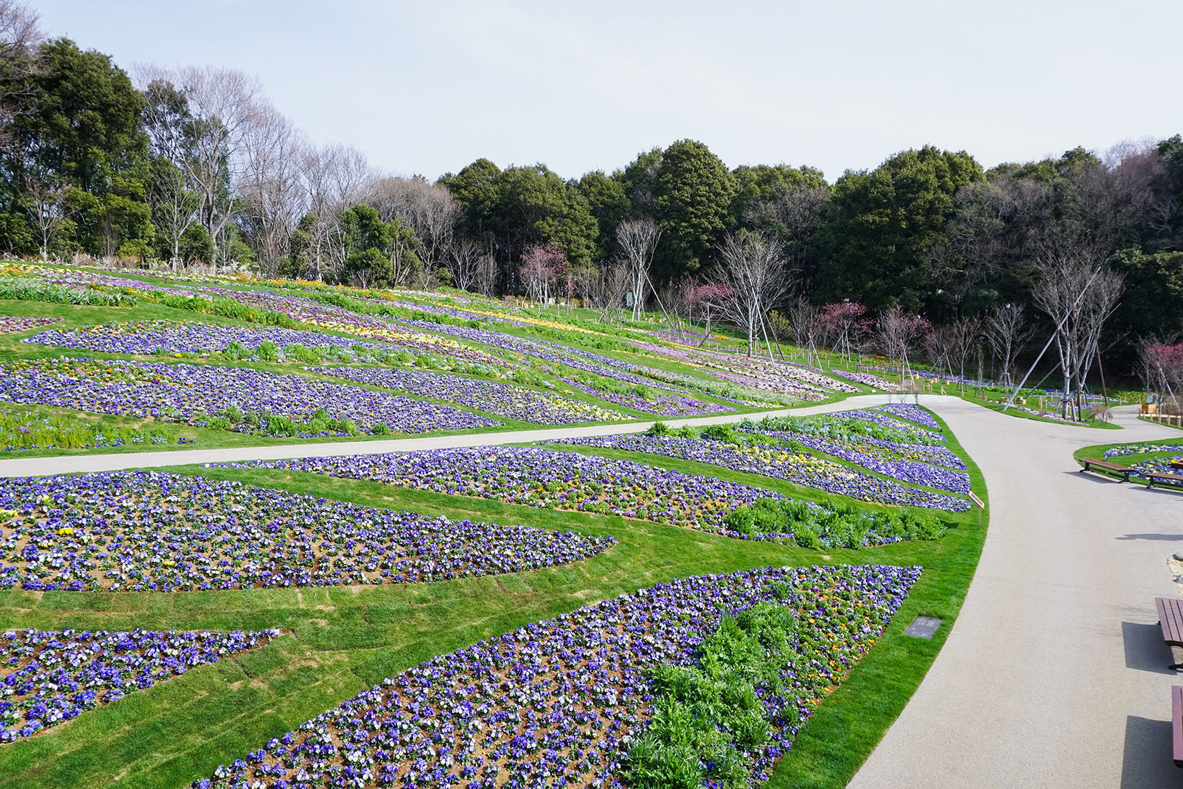 日本里山花园丨户田芳树风景计画-17