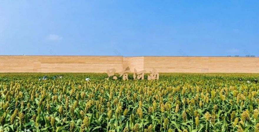 只有河南·戏剧幻城丨中国郑州丨吕元祥设计,永续设计等-16