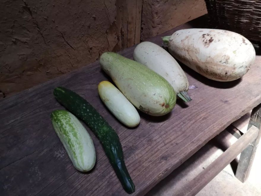 终南山书院 | 回归自然的诗意栖居-55