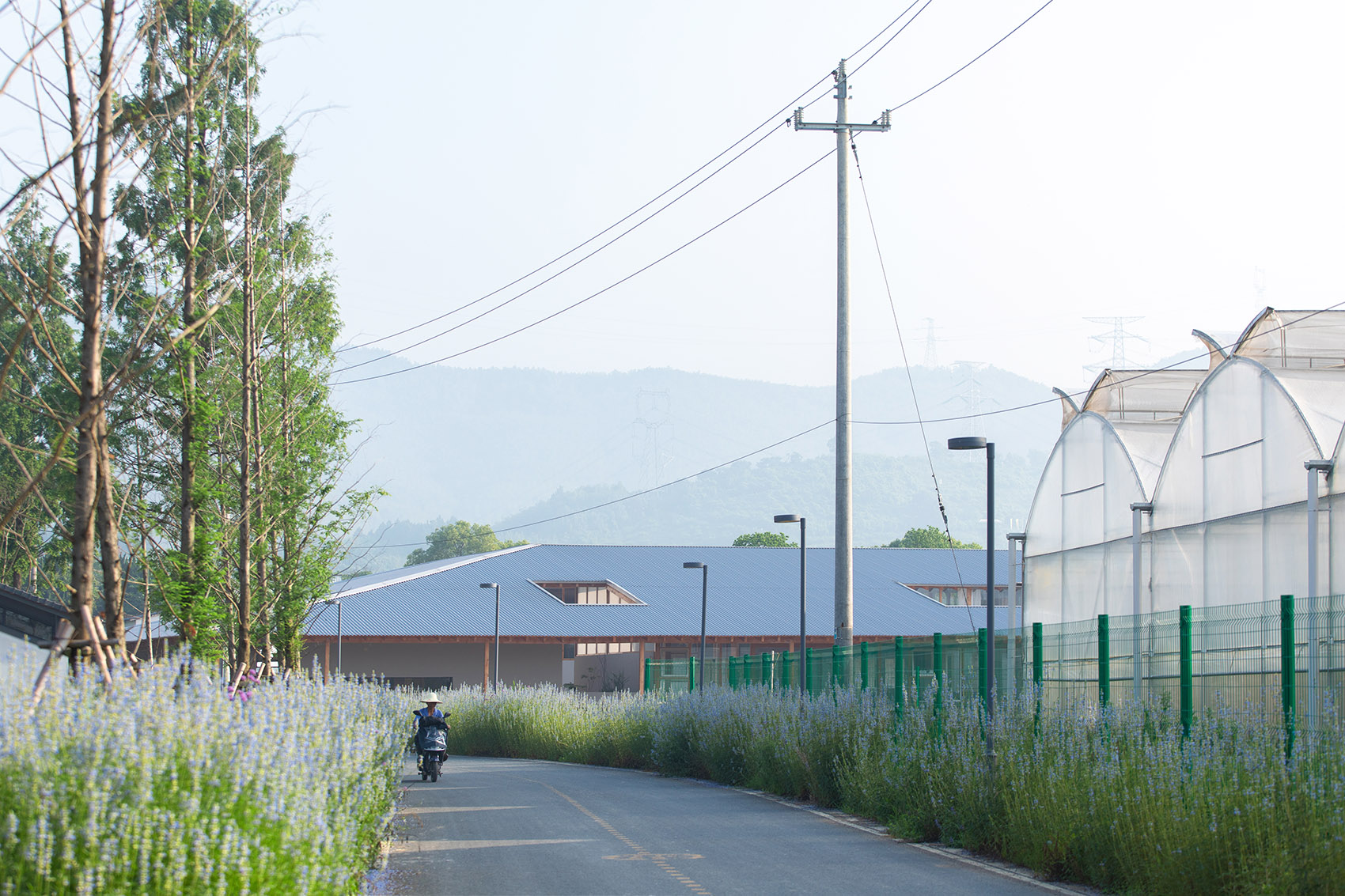 杭州数字农场运营中心丨中国杭州丨时地建筑设计工作室-16