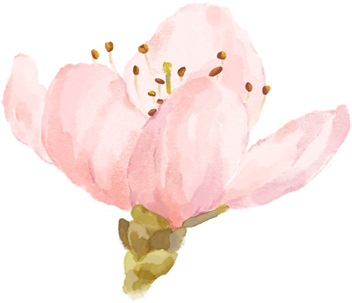 打卡留园,这样拍秒出大片!-63