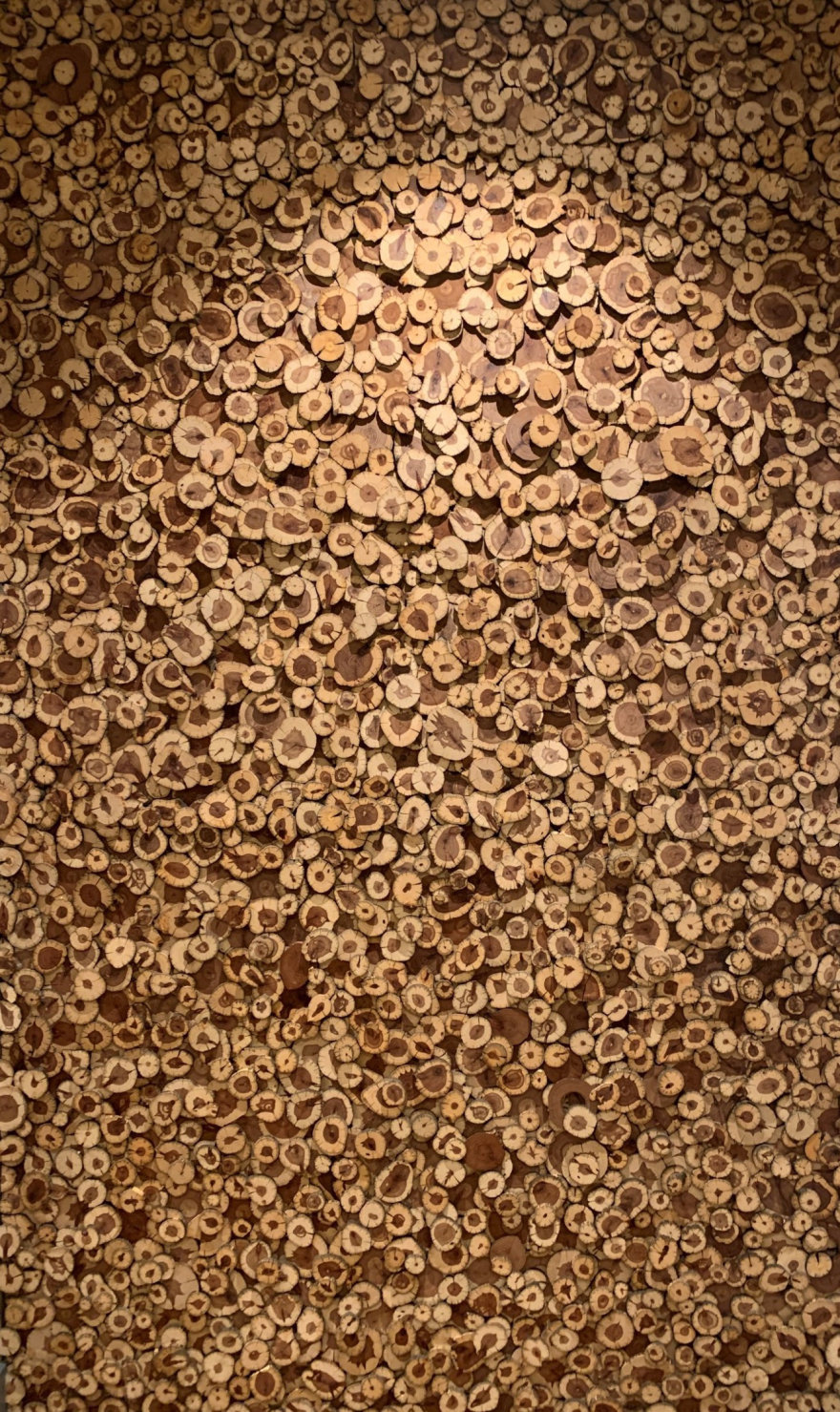 Dino Inn(恐龙旅馆重新设计项目)丨美国犹他-26