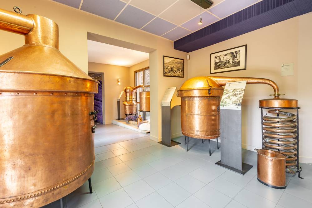 The Luberon Lavender Museum - France-12