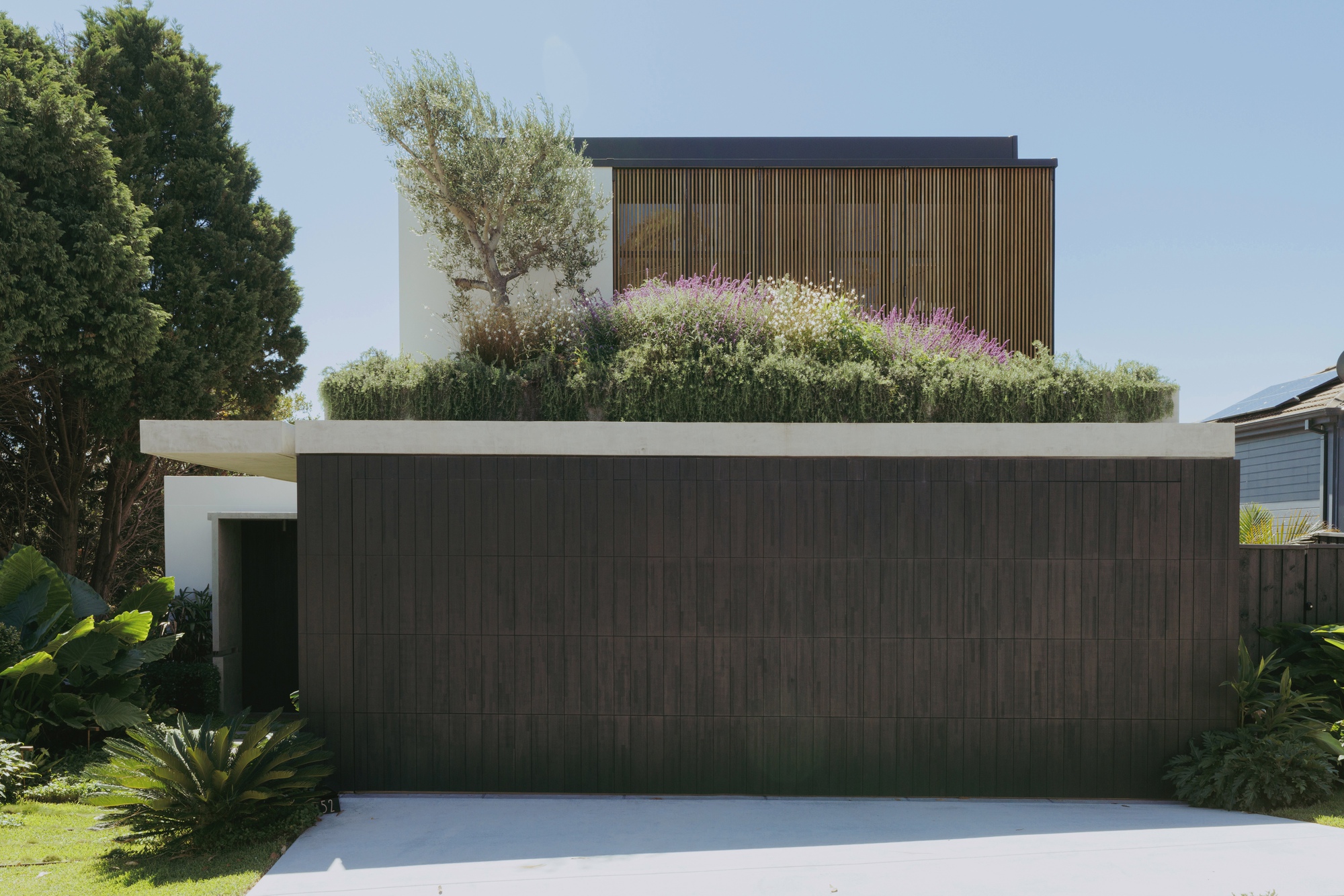 别墅庭院丨澳大利亚丨buck&simple-35