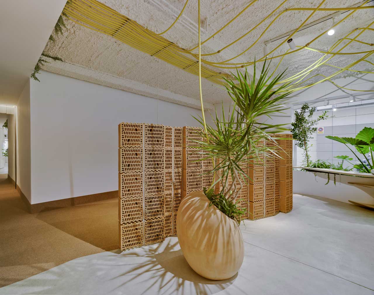 Antonio Maciá打造自然风绿意办公室-9