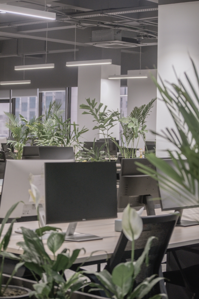 达拉兹办公室丨尼泊尔丨STUDIO NEBA-18