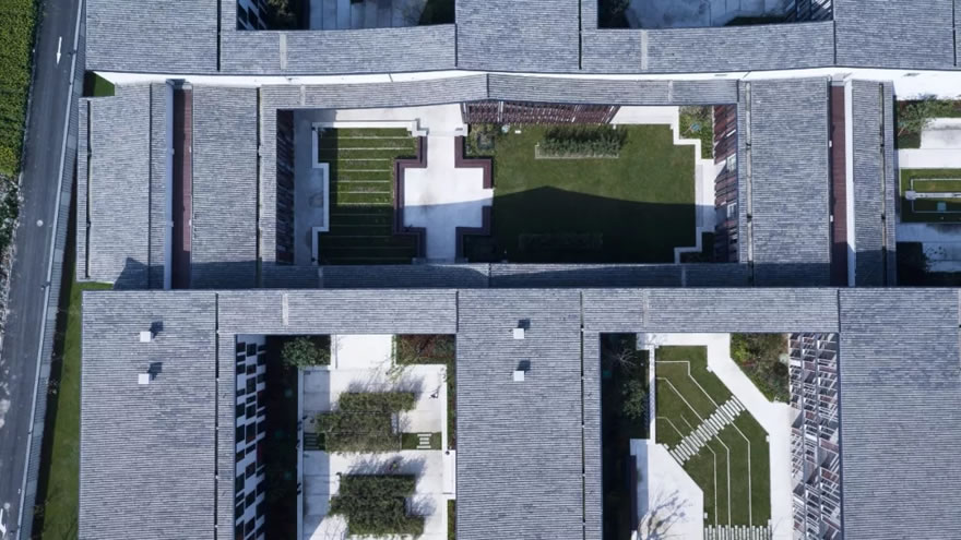 杭州杭行路小学-25