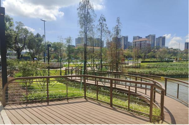 设计大师走进校园,共话凤凰大道调蓄塘ESG实践:打造城市“水心脏”防汛新标杆-37