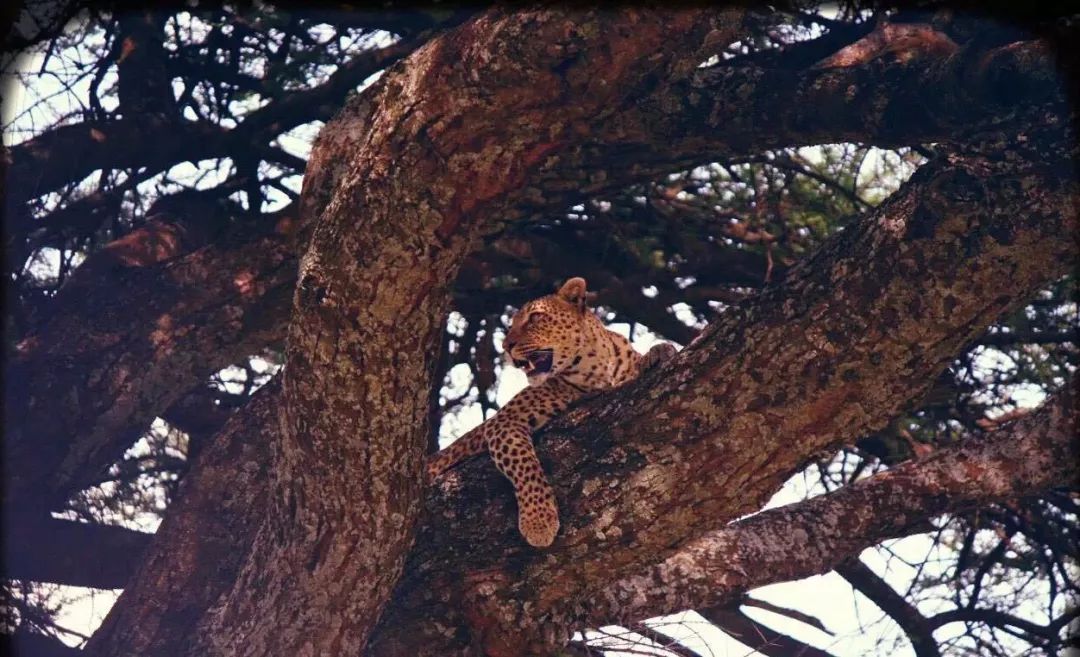 环游世界的美女设计师,把艺术与色彩织成了家-20