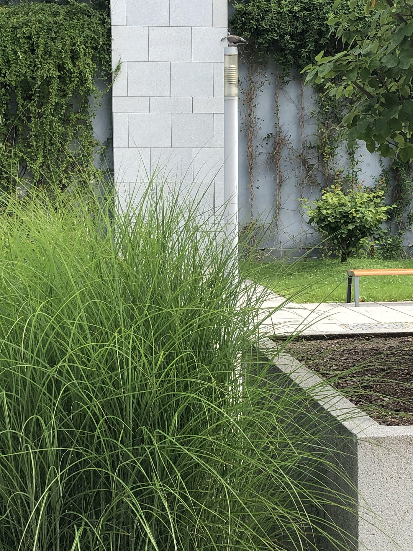 Urban Photography Challenge-1