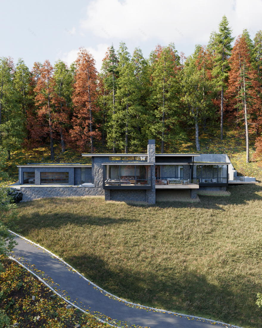 单层木结构房屋丨美国北卡罗来纳-13