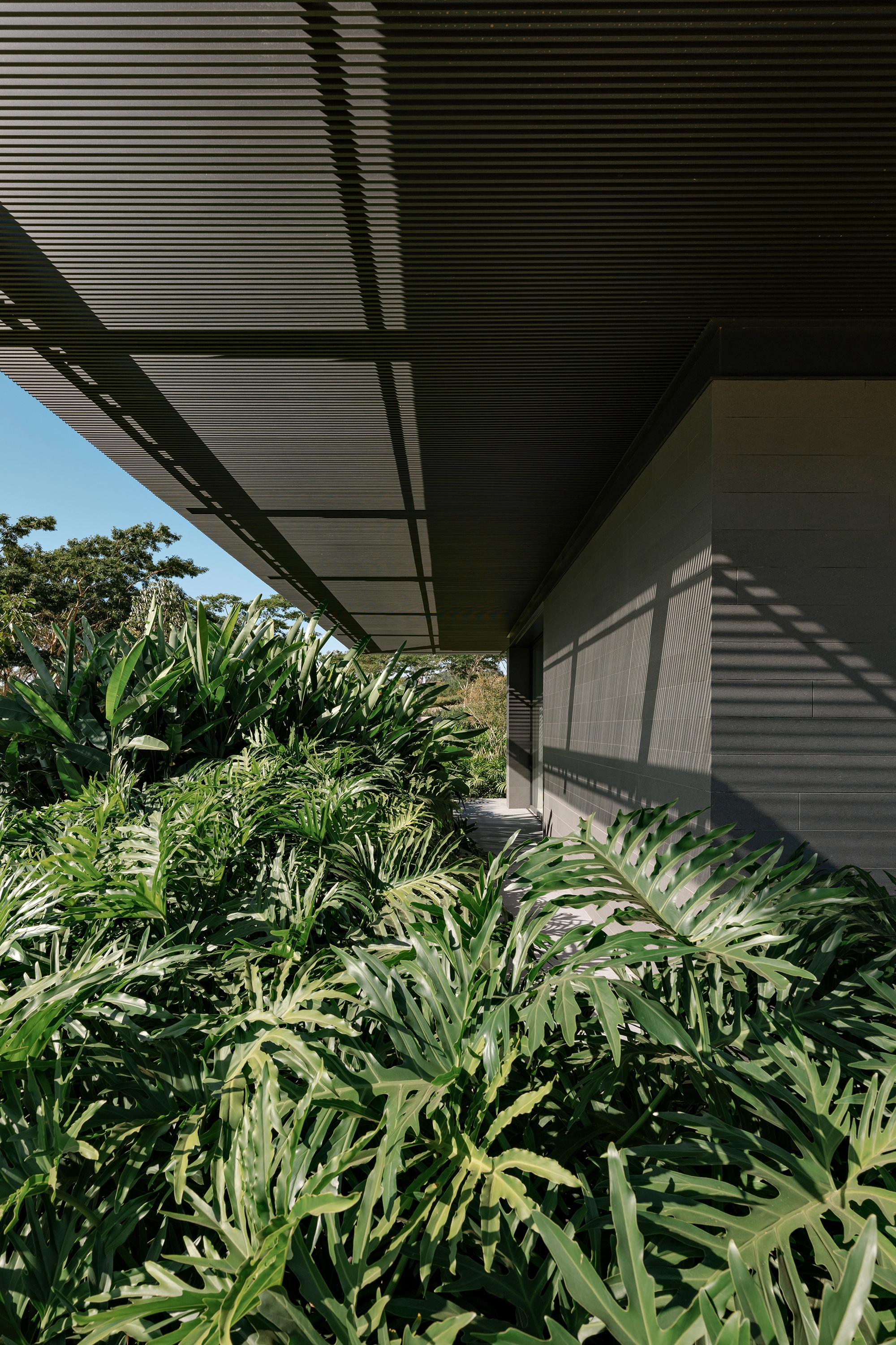 CL住宅:在地的营造丨巴西圣保罗-17