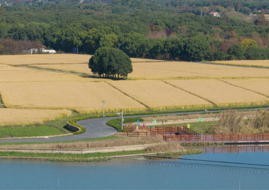 海滨农庄重生丨上海园林设计研究总院-14
