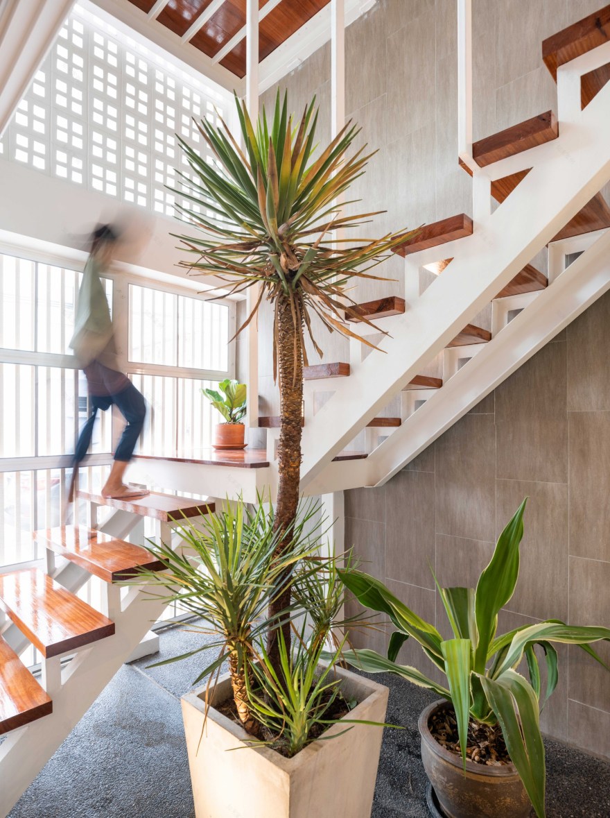 曼谷双宅别墅,灵活空间与自然融合-11