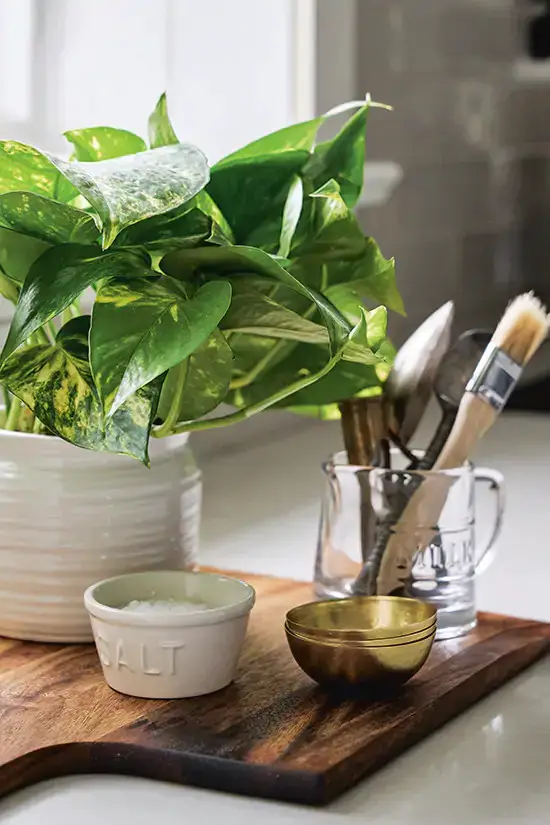 19 世纪安大略省老学校改造的现代温馨家居-21