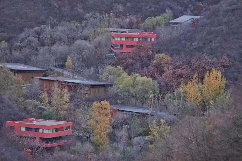 从“网红”到“长红”，如何用建筑艺术对抗城市化焦虑？-31