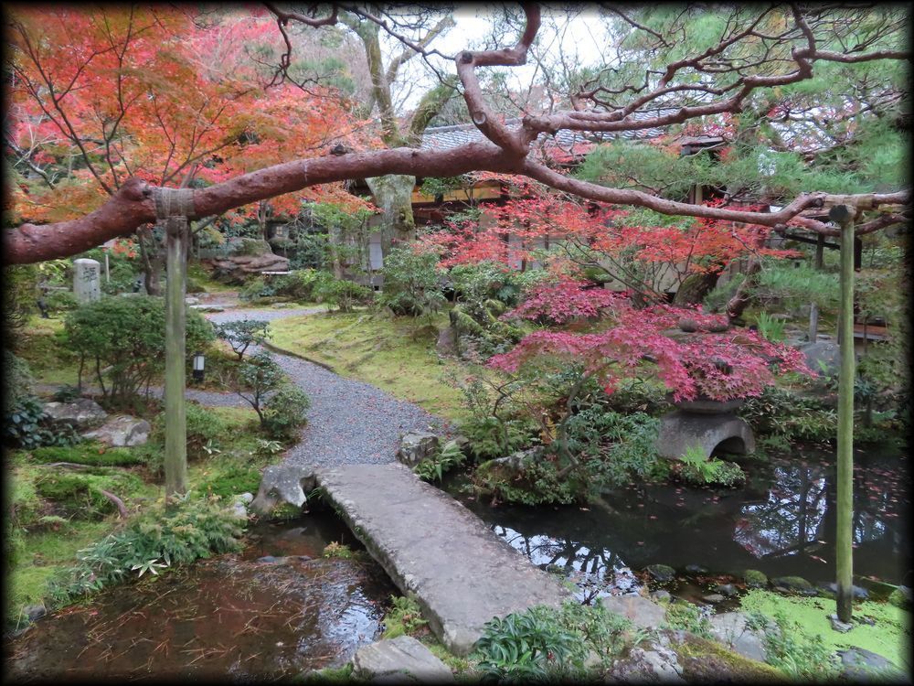 南禅寺参道菊水·红叶之庭园丨七代目小川治兵衛-35
