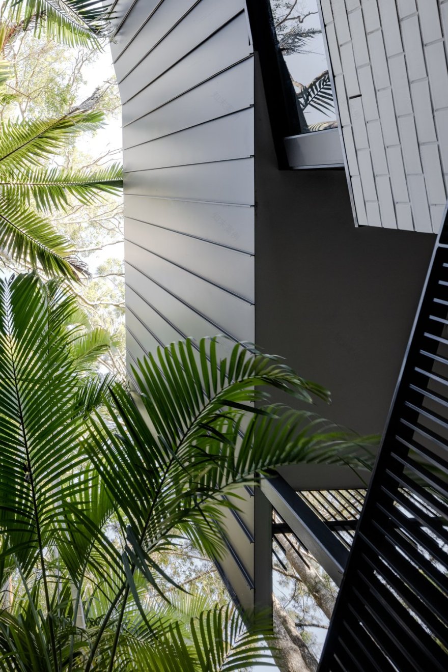 雨树,雨林别墅丨澳大利亚丨Void Building Design-6