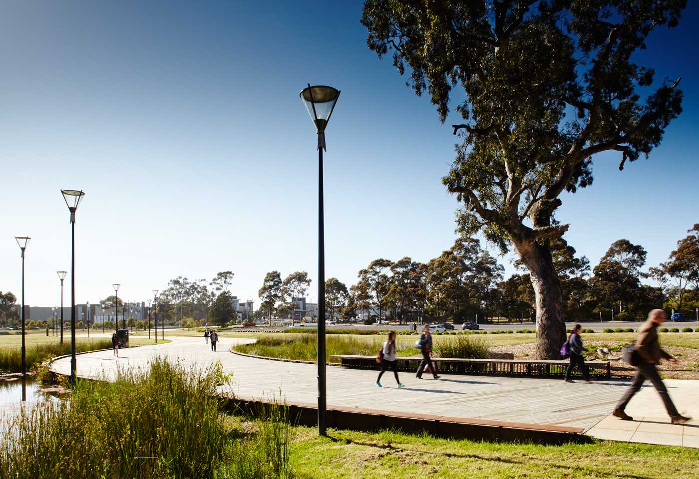 皇家墨尔本理工大学绿廊(RMIT Bundoora Pedestrian Spin)-10