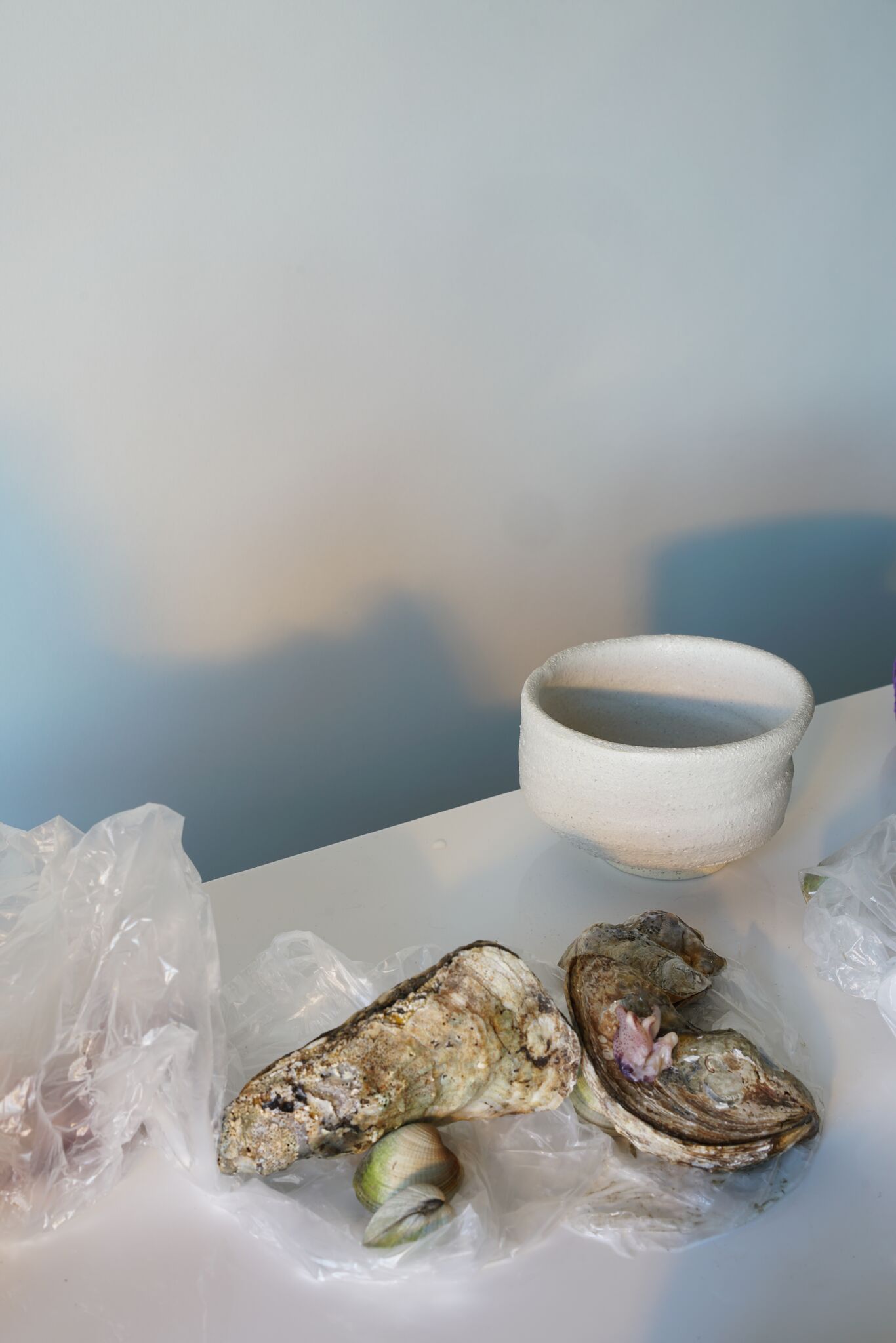 Returning to the Earth for Answers ⏤ In Interview With Alana Wilson and Romy Northover — anniversary magazine-3