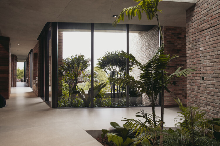 哥伦比亚房屋内部庭院设计-22