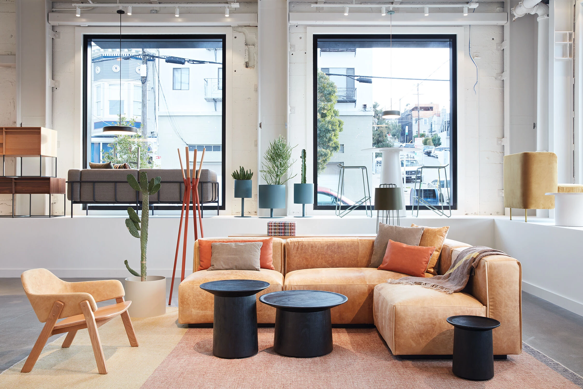 蓝点旧金山丨美国-7