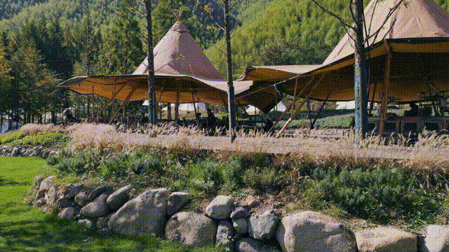 数一轮晨夕 折一朵明媚 | 安吉小杭坑营地-91