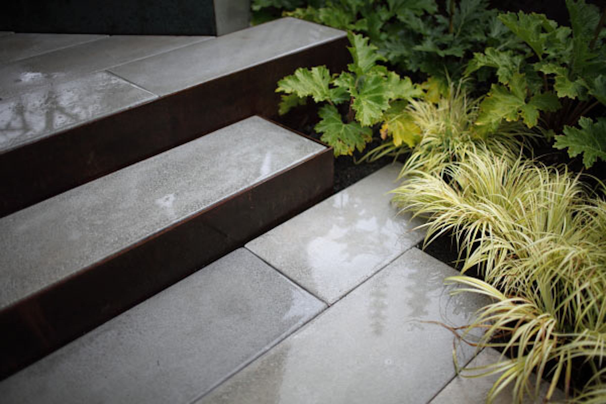 班布里奇花园(Bainbridge Garden)-4