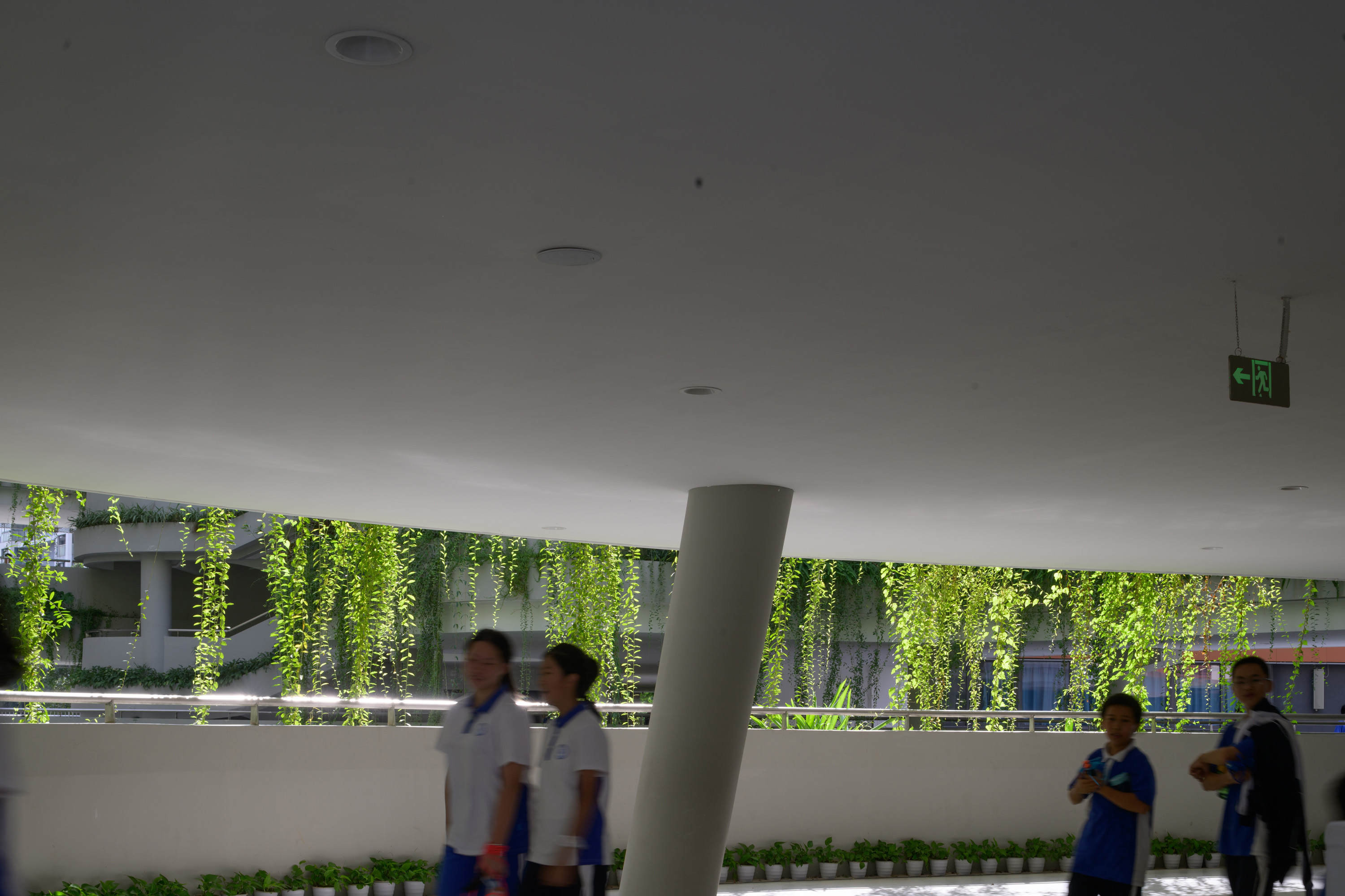 红岭教育集团 华富实验学校丨中国深圳丨大小景观,深圳市建筑设计研究总院有限公司,广州天泓-112