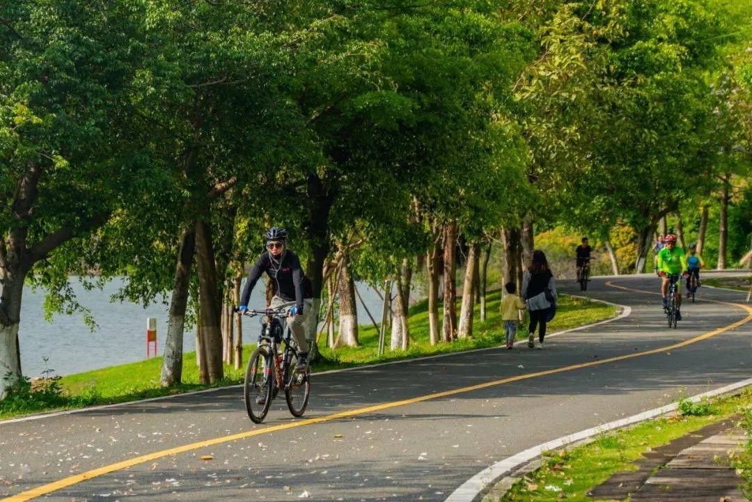 松山湖环湖地区城市设计丨中国东莞丨中规院深圳分院城市设计中心-63