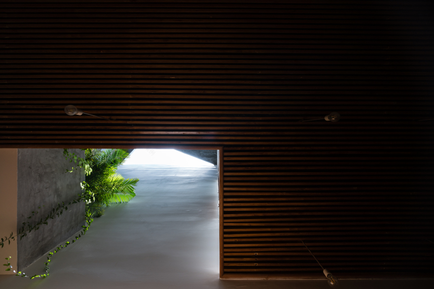 越南三代人记忆中的绿色家园-56