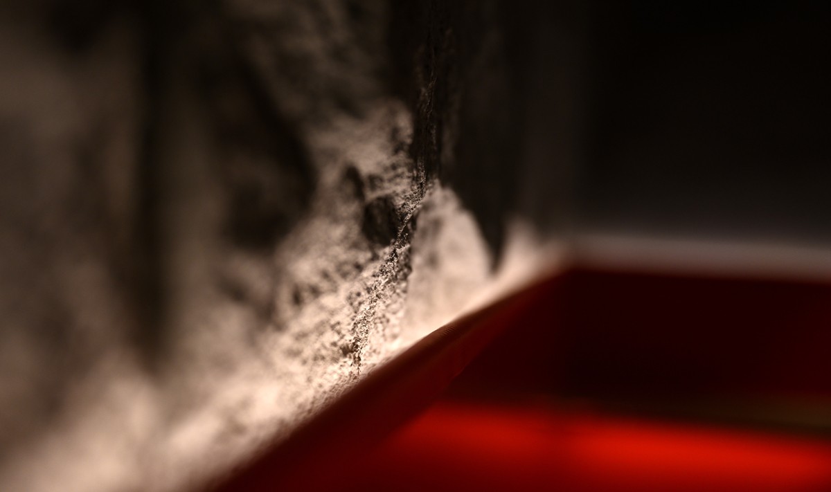 军力烧烤(郑东商业中心店)丨温圣长-0