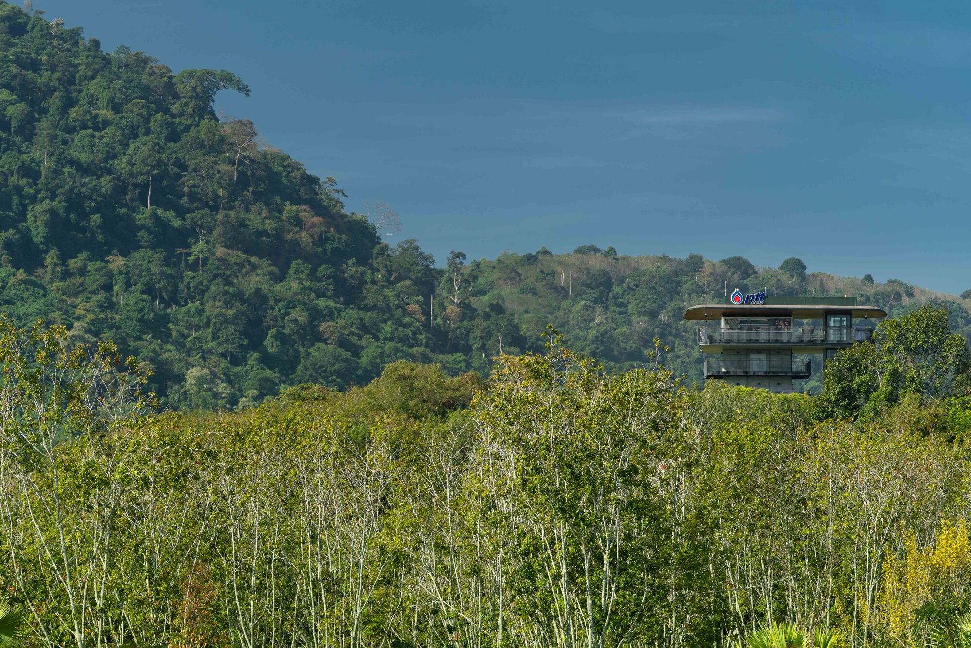 维斯泰克观景塔丨泰国罗勇丨Architects 49-26