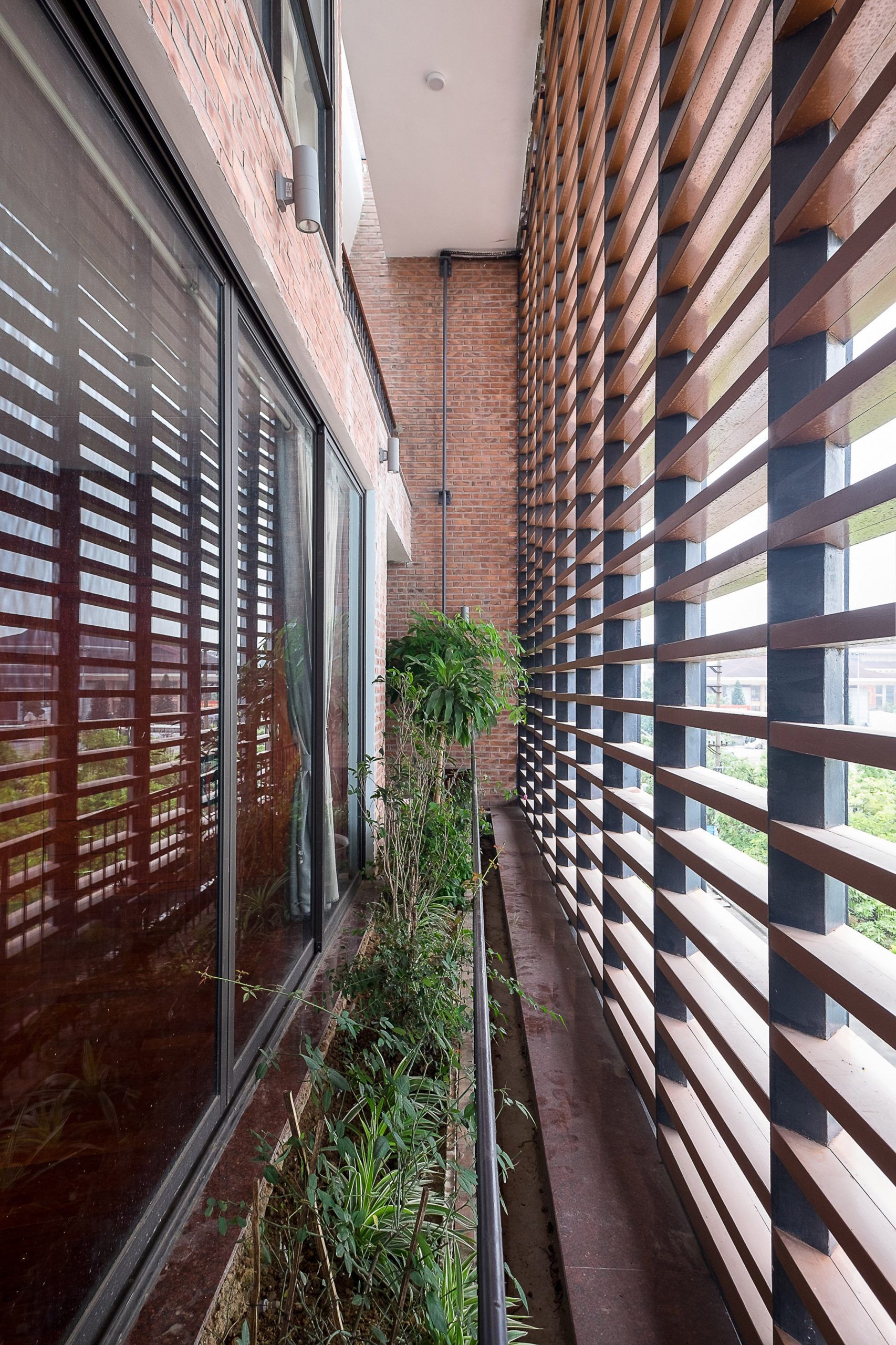 热带洞穴之家-12