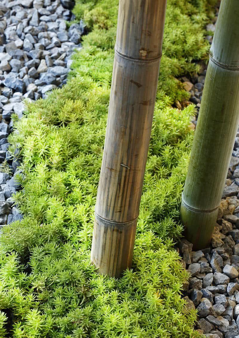 康桥悦城生活美学生机馆-13