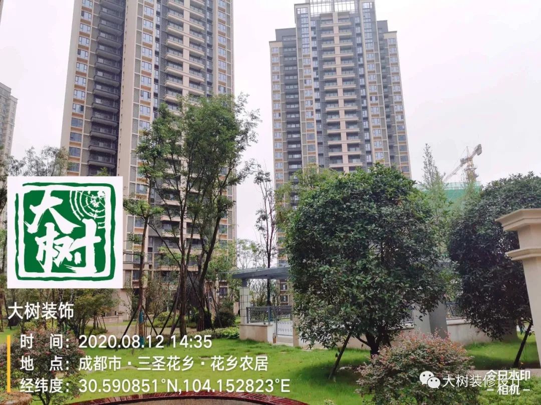 人居东城花汇小区绿化现场探秘-25