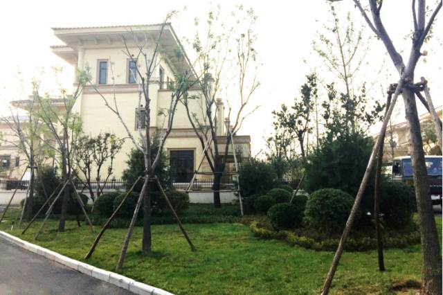 绿化设计中的地被放线手法与植物配置-144